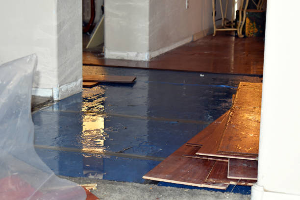 Professional Water Damage technician working in Hope, RI